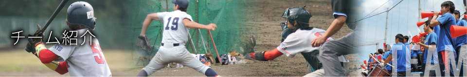 チーム紹介