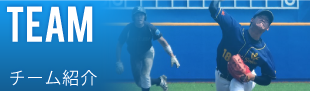 チーム紹介