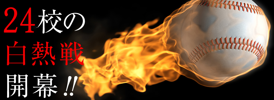 東京新大学野球連盟