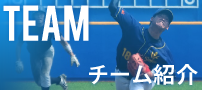 チーム紹介